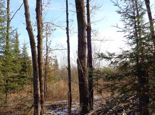 +/-100 Acres Forest Rd #579A, Ogema, WI 54459