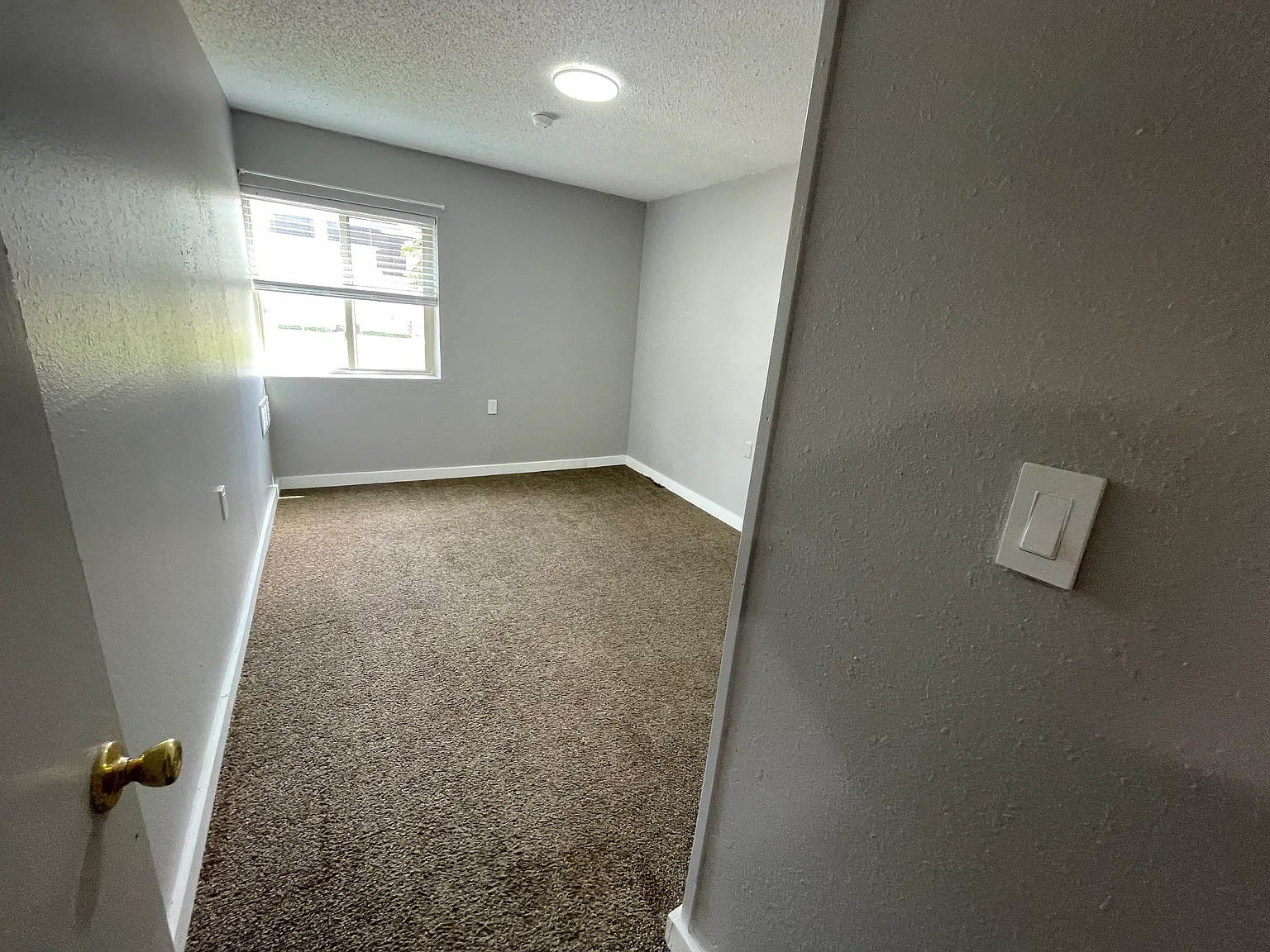 1 bed, $600 — Photo 3