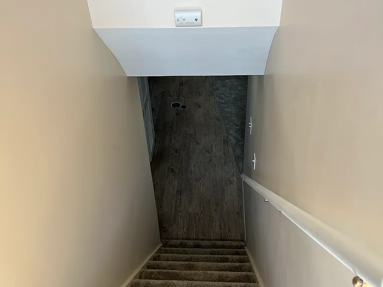 Stairs off back door to downstairs