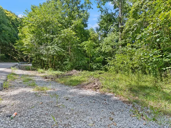 0 Bill Dee Branch Rd, Topmost, KY 41862