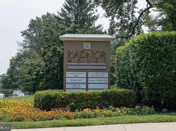 1030 E Lancaster Ave APT 429, Bryn Mawr, PA 19010