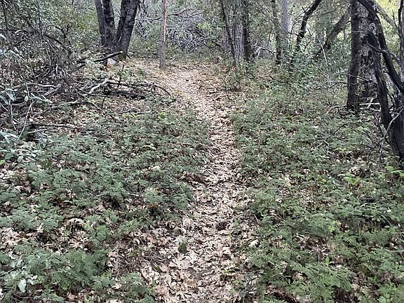 4th image of Defender Grade