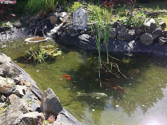 Koi Pond