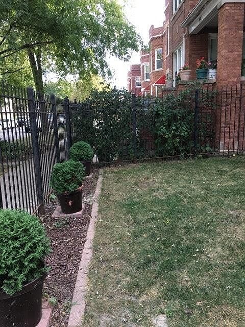 Front Yard
