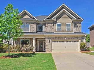 41 Bunchberry Ct, Chapin, SC 29036