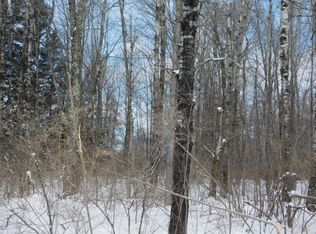 N Koeppler Rd, Ojibwa, WI 54862