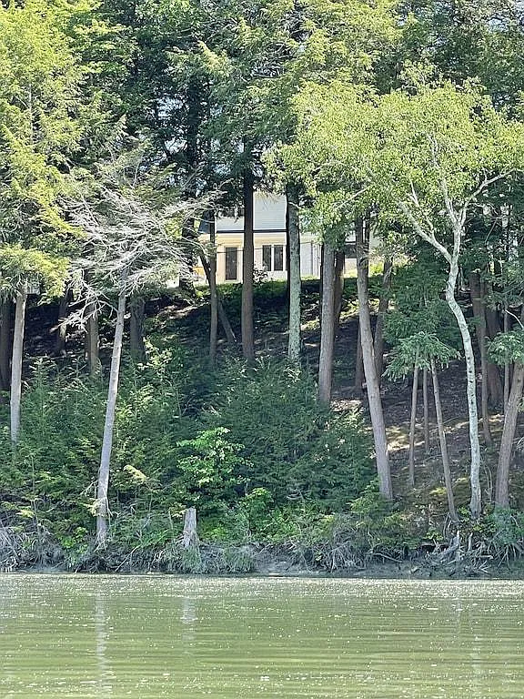 3 Heather Ln — Photo 3