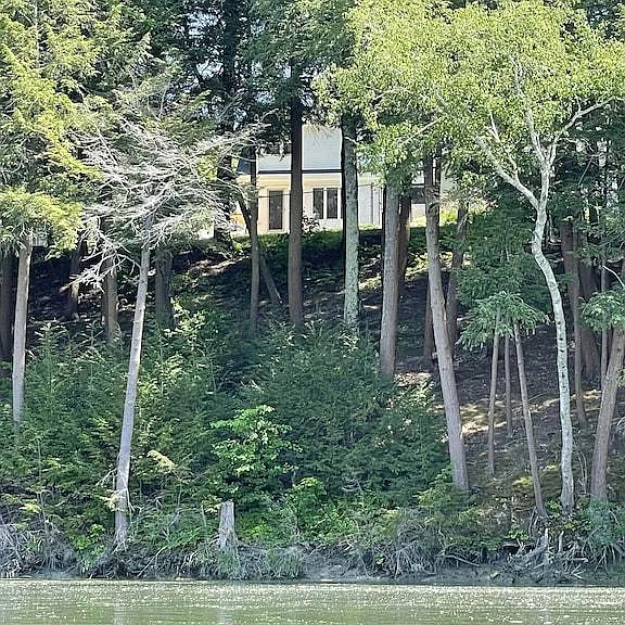 3 Heather Ln — Photo 3