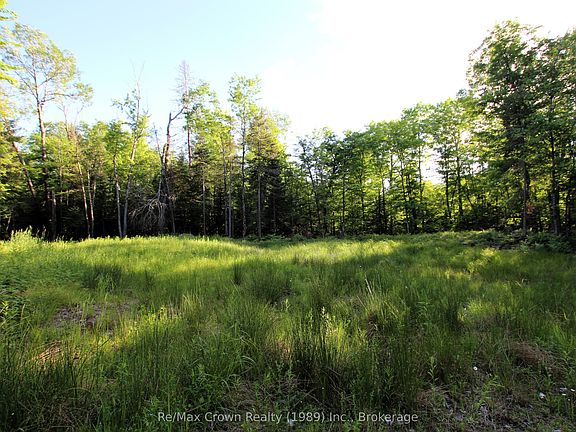 2nd image of 453 Pilgers Rd