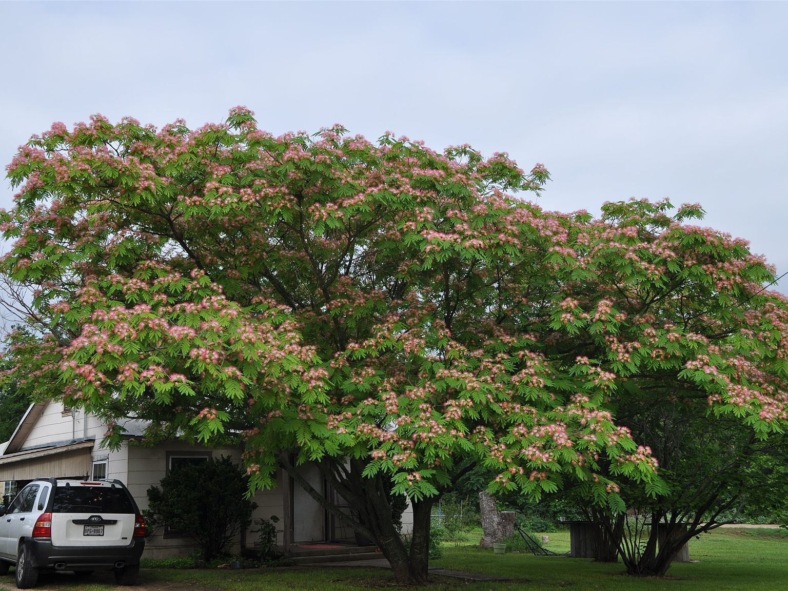 162 County Road 1236, Kopperl, TX 76652 MLS 20618907 Zillow