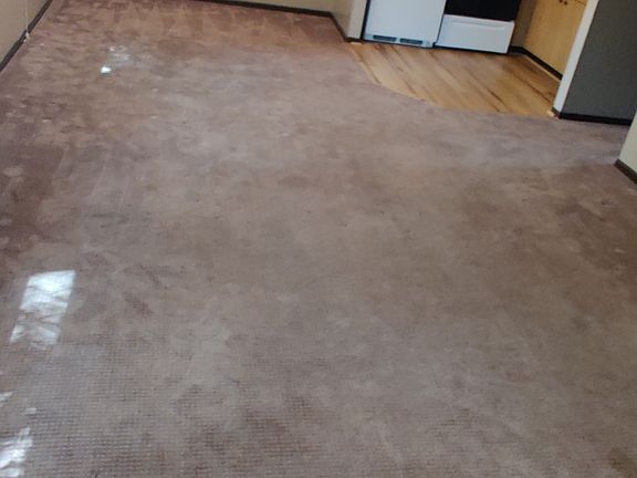 Kitchen/dining area