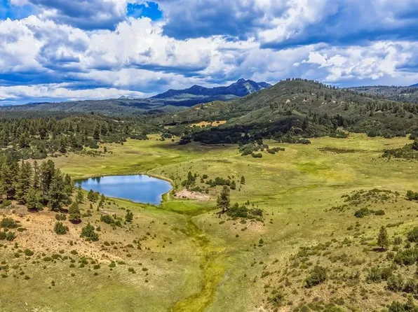 X Raptor Place, Pagosa Springs, CO 81147