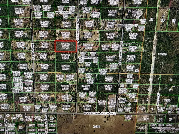 6348 S Canna Lily Ave, Homosassa, FL 34446