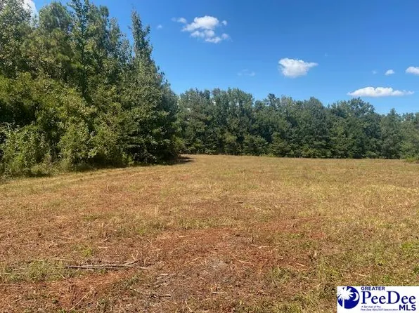 Magnolia St, Lynchburg, SC 29080