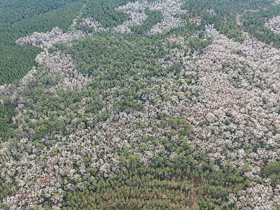 4th image of 0 Clemmons Rd