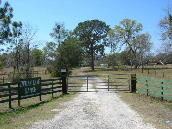 4342 SE 8th Ave, Melrose, FL 32666