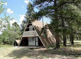 415 Conifer Dr, Bailey, CO 80421