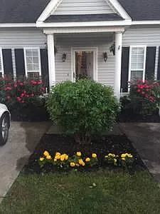 3 bed, 1850 sqft, $2,300 — Photo 2