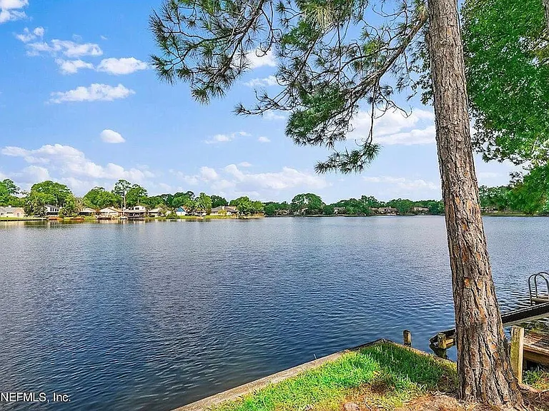 11290 Lake Mandarin Cir E — Photo 4