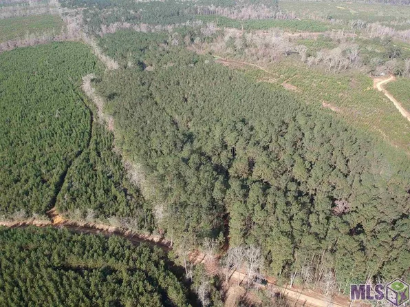 Booker Ln, Clinton, LA 70722