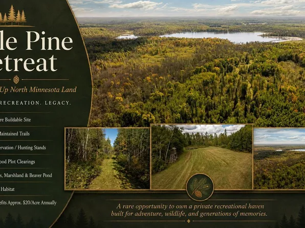 Little Pine Rd, Emily, MN 56447