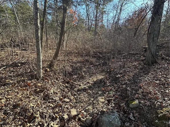 30 Acres Hwy #47, Richwoods, MO 63071