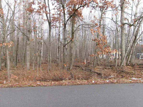 Nhn Shadowbrook Dr, Lake, MI 48632