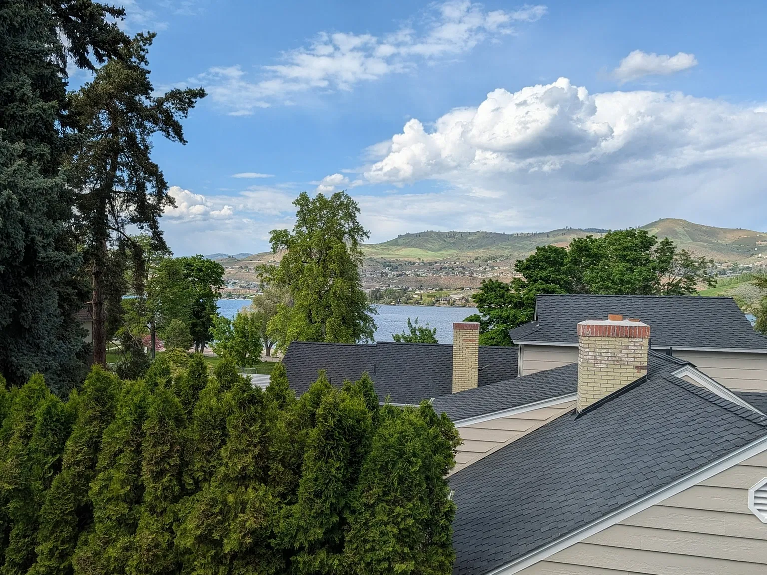 1 bed, $1,200 — Photo 3