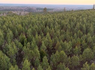 723 Brown Creek Rd, Shiloh, GA 31826