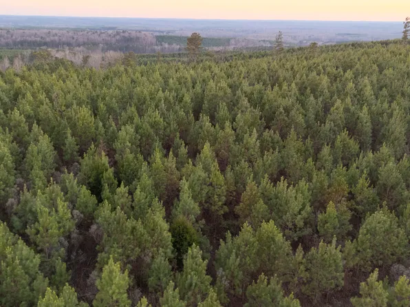 723 Brown Creek Rd, Shiloh, GA 31826