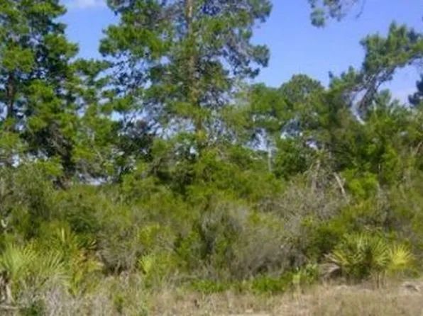 243 Norseman Ave NW, Lake Placid, FL 33852