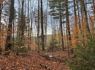 41 E Hampshire Hill Road, Worcester, VT 05682