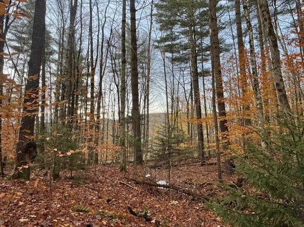 41 E Hampshire Hill Road, Worcester, VT 05682