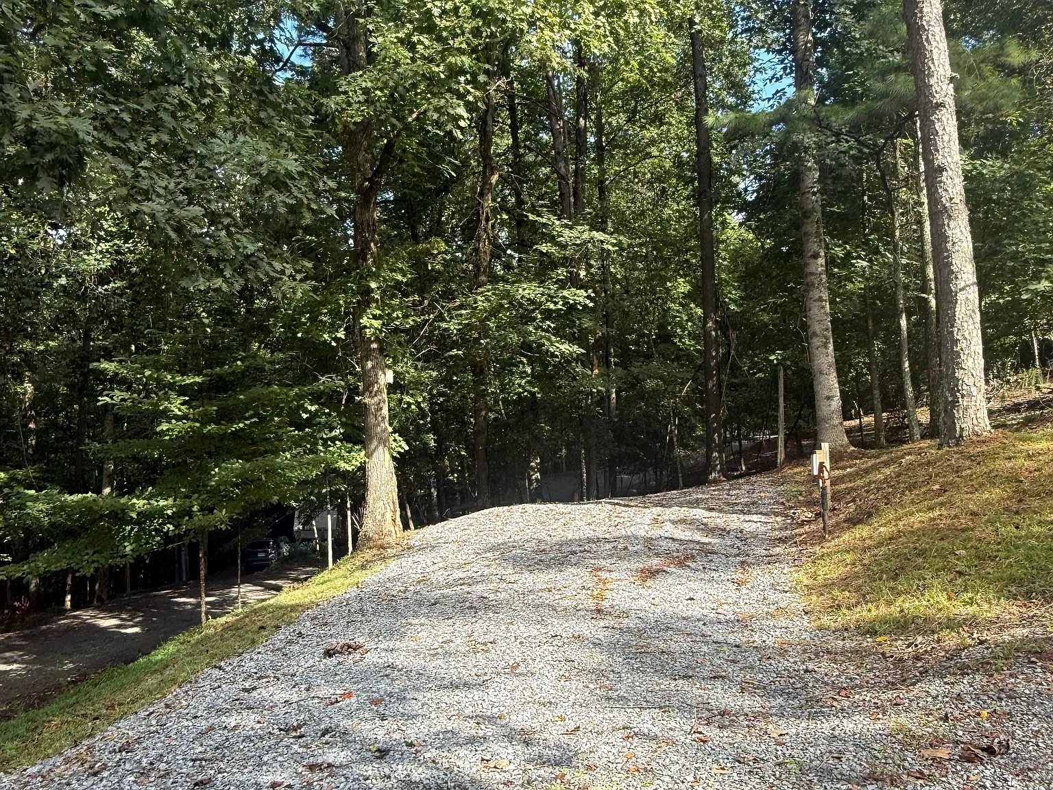 1 bed, $850 — Photo 2