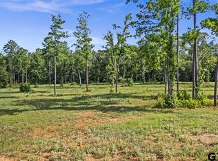 15810 Aniston Ln, Flint, TX 75762