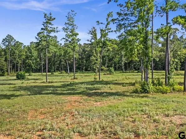15810 Aniston Ln, Flint, TX 75762