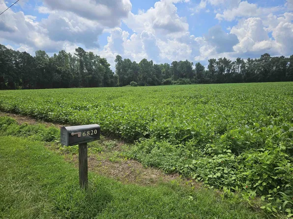 36.4 Acres-TBD Black Creek Rd., Nichols, SC 29581