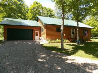 9416 Little Rainy Rd, Onaway, MI 49765