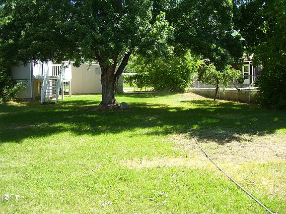 Backyard. Shade tree with shed and sprinkler system