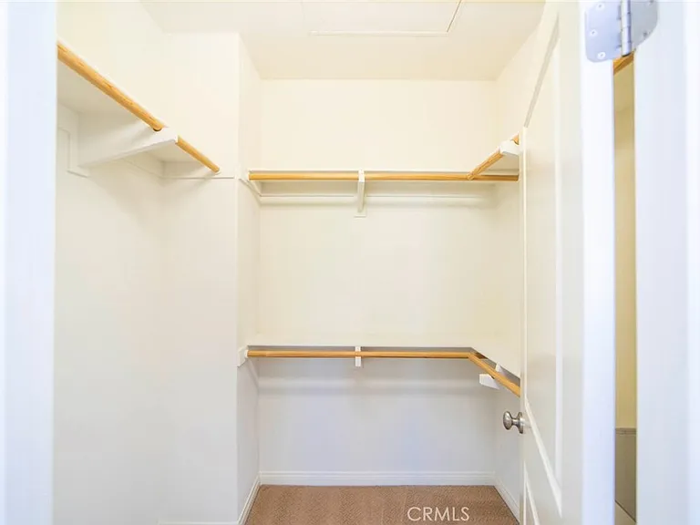 33 Bromeliad — Photo 25