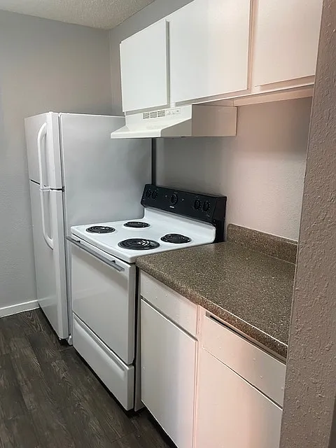 Edinburg Place Apartments - 0908 — Photo 3