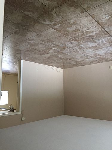 2nd image of 2449 NE 11th St APT 12