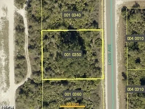 2803 Louis Ave, Alva, FL 33920
