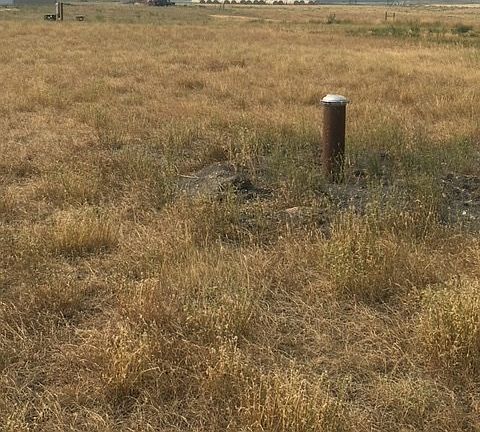 3rd image of 153 Sweetgrass Dr