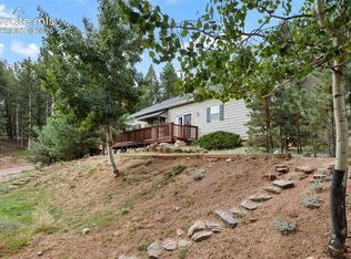129 Kestrel Ct, Divide, CO 80814