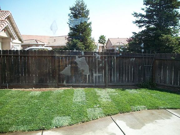 Landscaped Backyard.