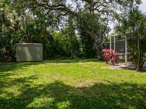 LARGE OAKS IN BACK YARD
