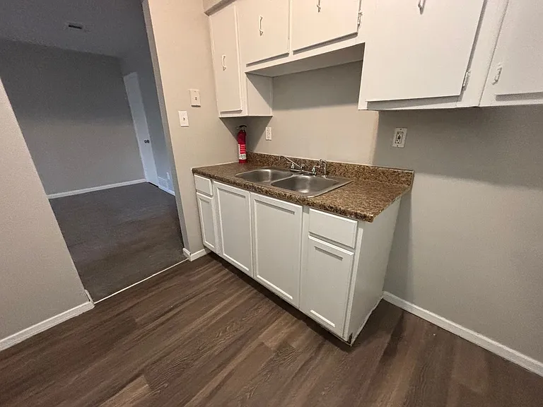 1423 Todds Creek Cv — Photo 4