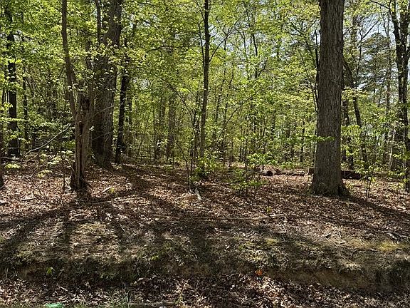 2nd image of Fort Mitchell Rd