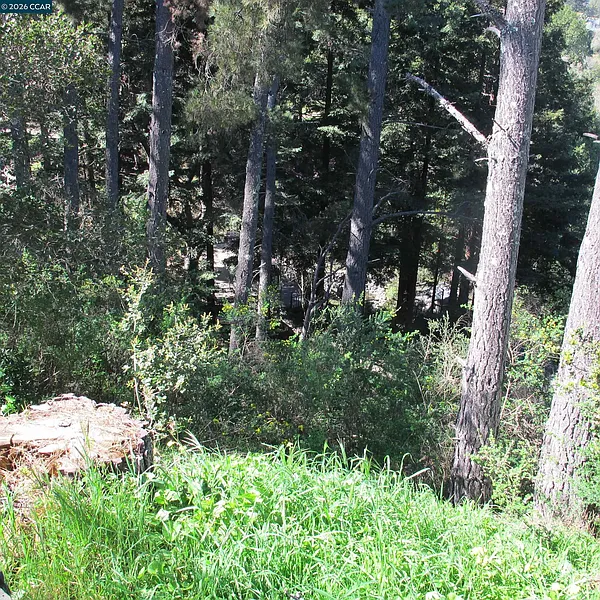 Thumbnail 15